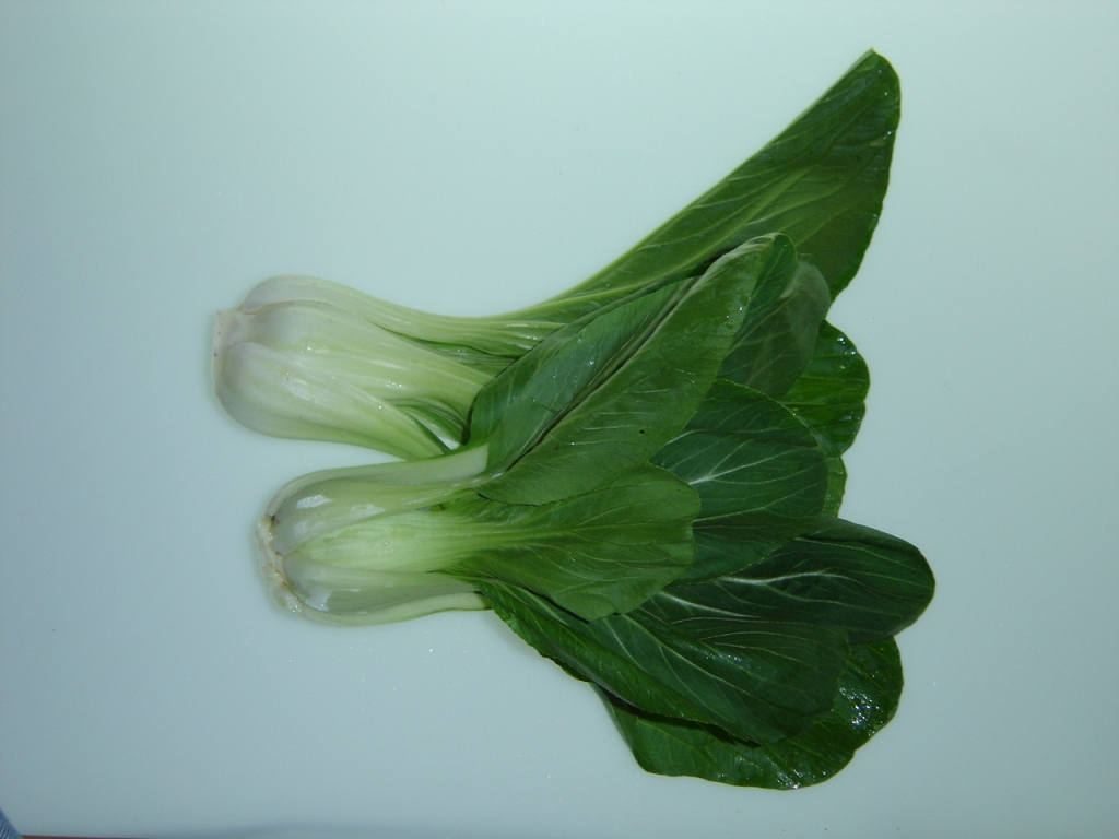 Green Pak Choy